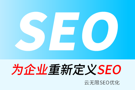seo������ʲô��˼